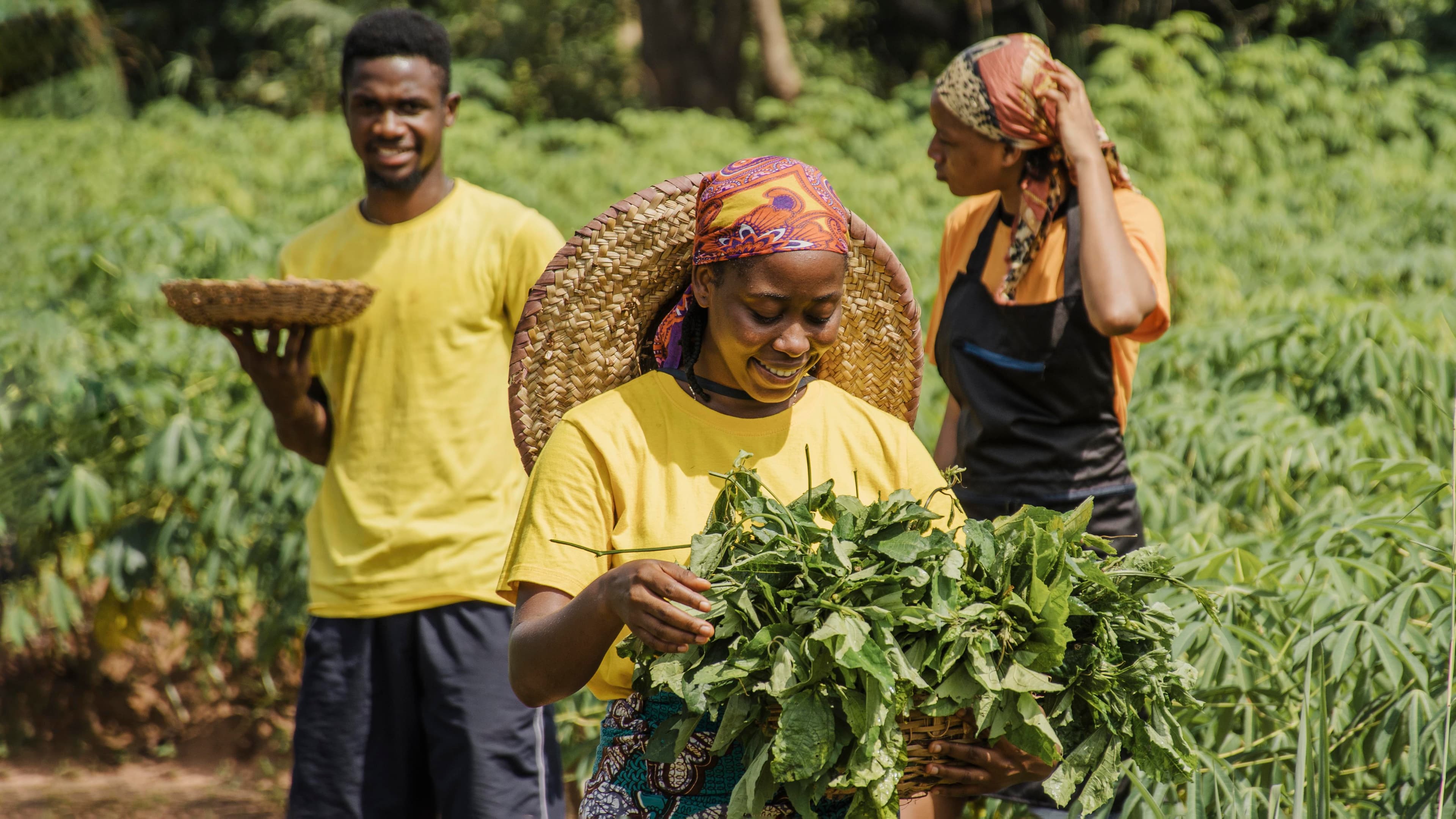 farmers-in-farm